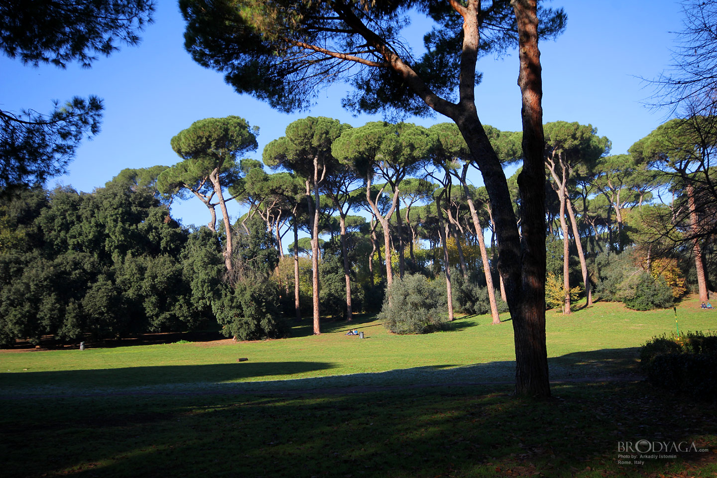 Villa Ada, Rome